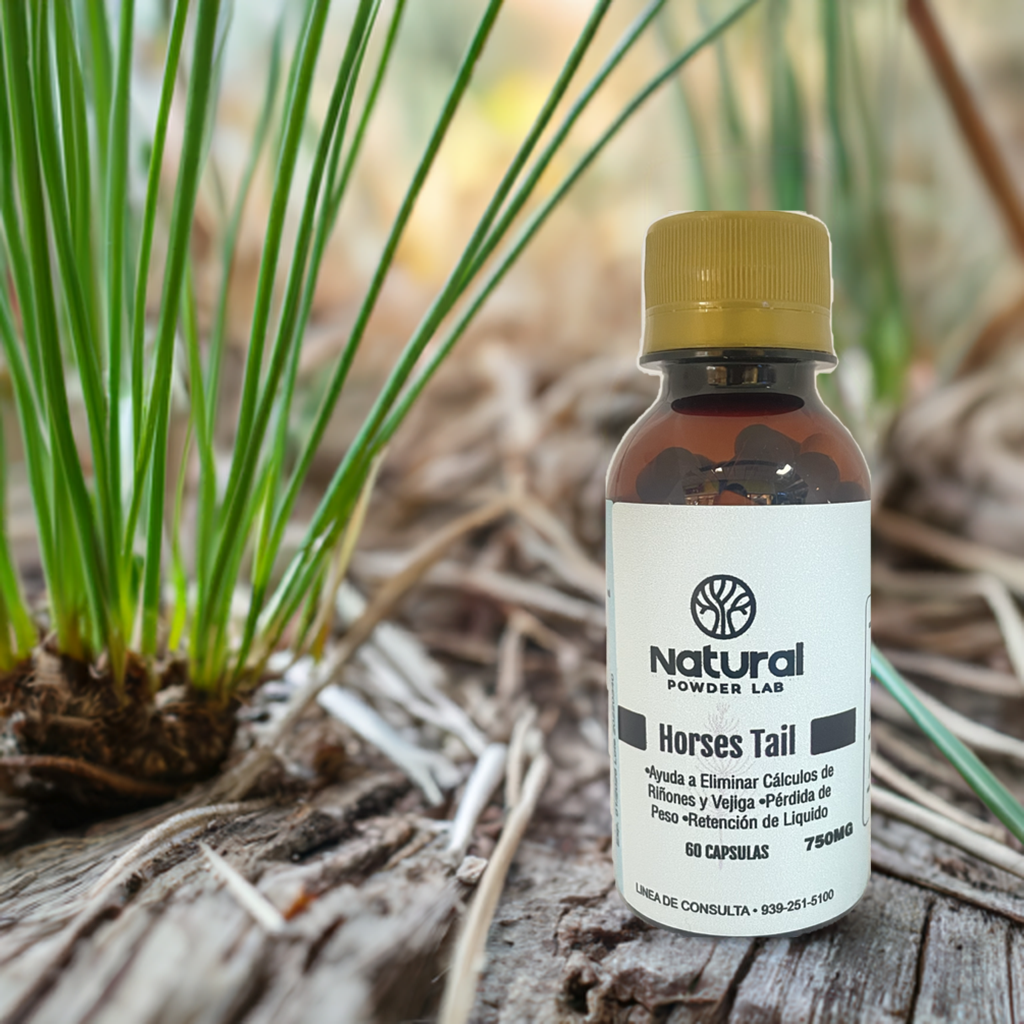 Horses Tail - Natural Powder Lab - Natural Powder Lab PR