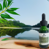 Clorofila - Natural Powder Lab PR - Natural Powder Lab PR