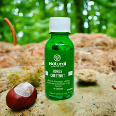 Horse Chestnut - A Natural Approach to Circulatory Health - Natural Powder Lab PR