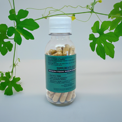 Bitter Melon - A Nutrient-Rich Superfood - Natural Powder Lab PR