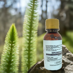 Horses Tail - Natural Powder Lab - Natural Powder Lab PR