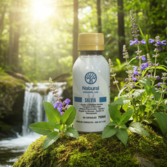 Salvia - A Natural Solution for Digestive Health - Natural Powder Lab PR